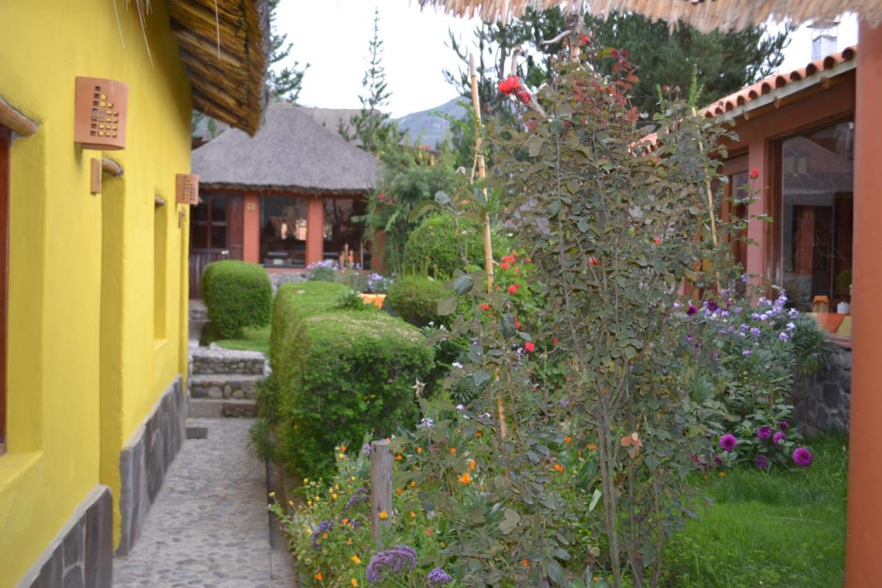 יאנקה Miskiwasi Bed & Breakfast מראה חיצוני תמונה